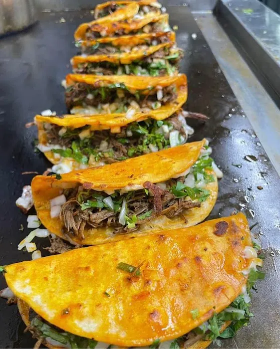 Taqueria Birrieria Citlalli 2 Picture 2