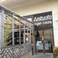 Amituofo ico