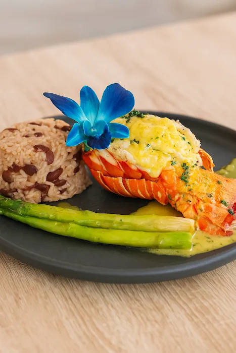 Mistico Latin Fusion Cuisine Picture 6