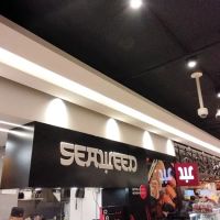 Seaweed kosher ico