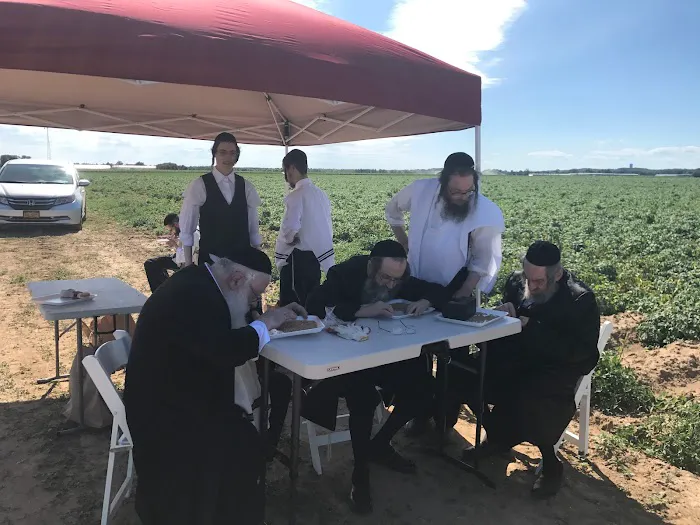 Kerestir Matzah Bakery קערעסטיר מצה בעקערי Picture 9