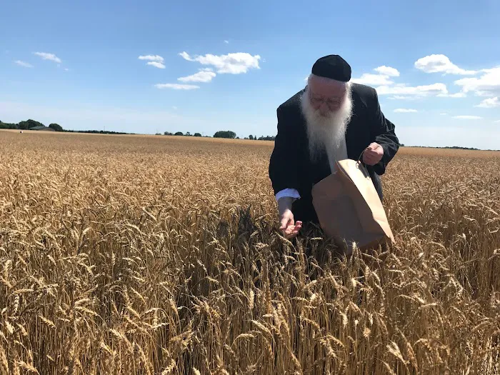 Kerestir Matzah Bakery קערעסטיר מצה בעקערי Picture 10