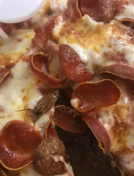 Little Caesars Pizza Picture 4