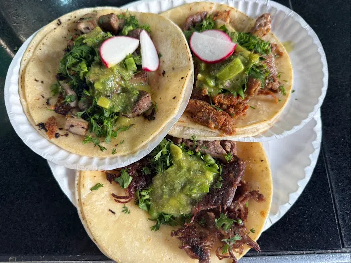 Taco Veloz Picture 4