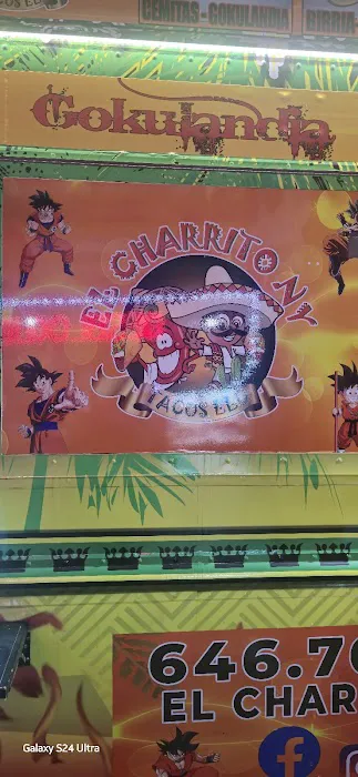 Tacos Mexico Lindo Picture 3
