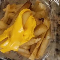 Yummy 88 ico
