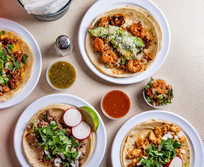 Homemade Taqueria Bushwick Picture 10