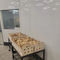 Satmar Matzah Bakery ico