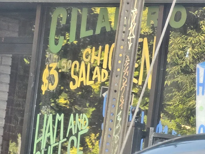Cilantro Club Picture 5