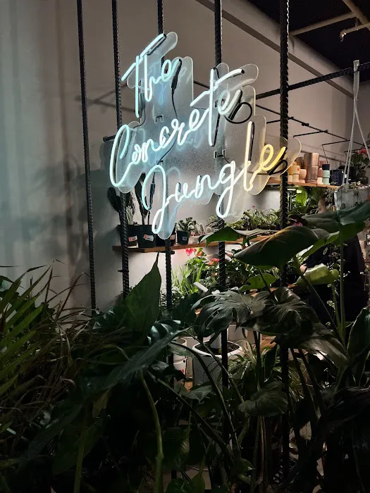 The Concrete Jungle Picture 6