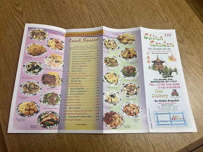 China Garden Picture 3