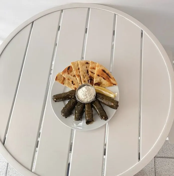 PITA GRILL Picture 3