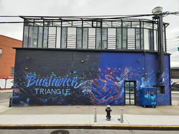 Bushwick Triangle Picture 3
