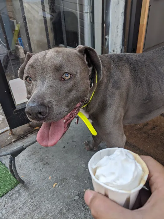 Ollie’s Ice Cream + Stuff Picture 5