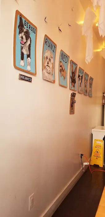 Ollie’s Ice Cream + Stuff Picture 1