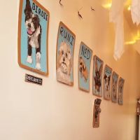 Ollie’s Ice Cream + Stuff ico