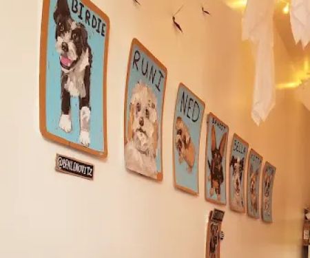 Ollieu2019s Ice Cream + Stuff