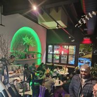 Elm After Hours ico