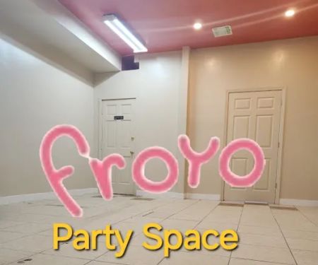 Party froyo space
