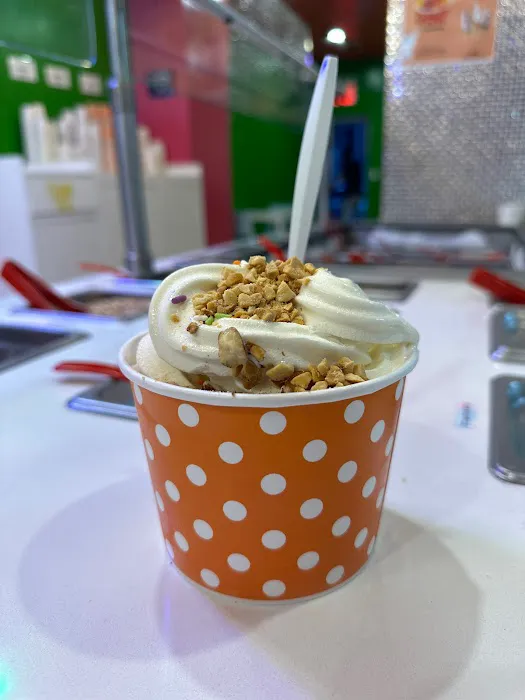 Sunshine Froyo Picture 6