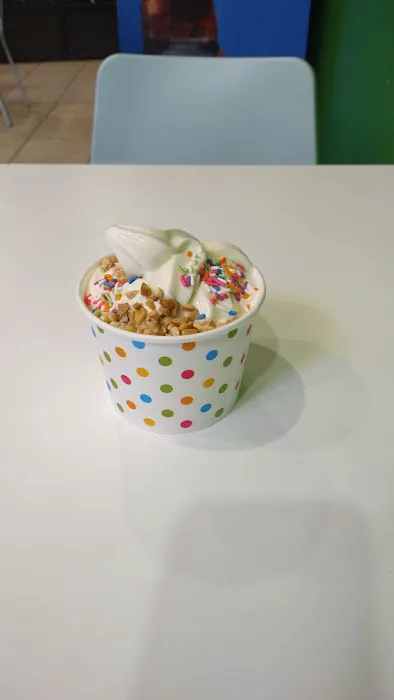 Sunshine Froyo Picture 3