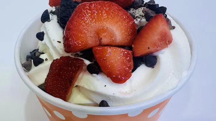 Sunshine Froyo Picture 5