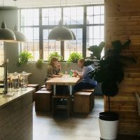Leaf ico