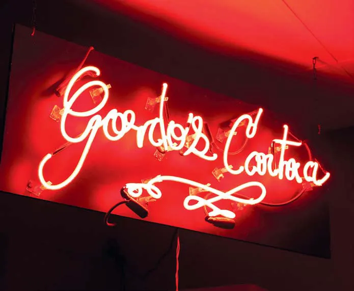 Gordo's Cantina Picture 5