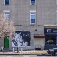 Moot Bar ico