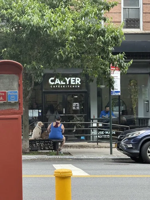 Calyer Picture 3