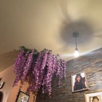 Blossom's Soul Food Fusion ico