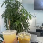 Fifty Five Nutrition
