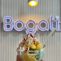 Bogati ico