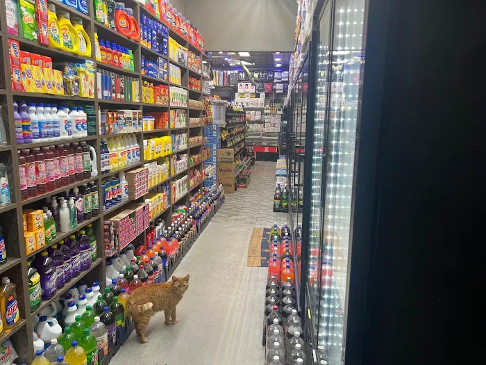 262 Love Deli & Grocery Picture 7