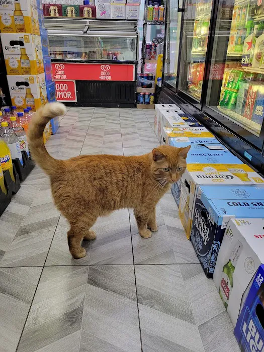 262 Love Deli & Grocery Picture 10