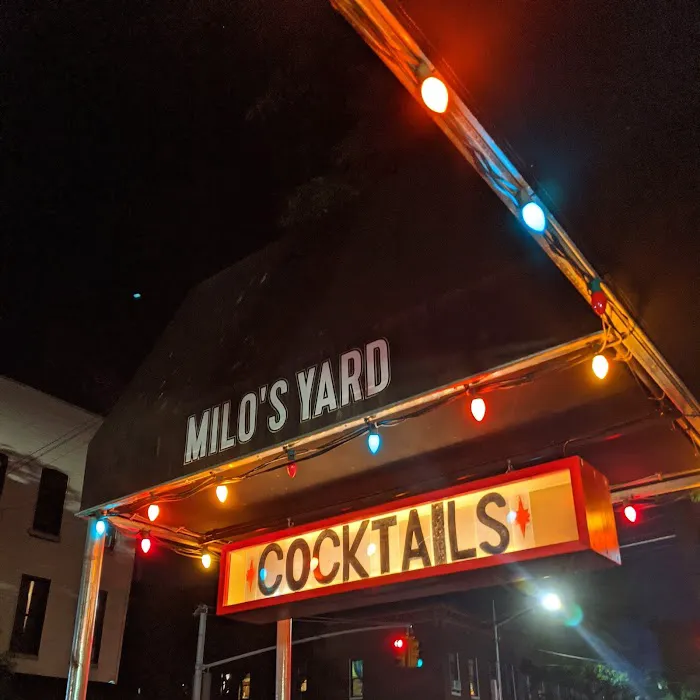 Milo's Yard Picture 2