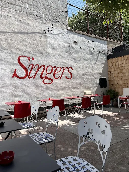 Singers Picture 6