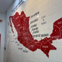 Rey Tacos Taqueria ico