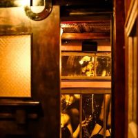 Bordello Cocktail Club ico