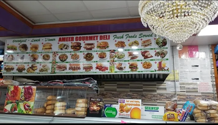 Ameer Gourmet Deli Picture 7