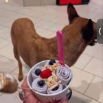 Ice Queen Ice Cream