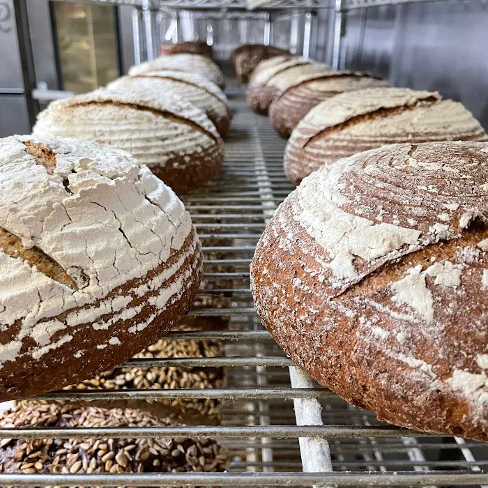 Babka Bakers Inc Picture 10