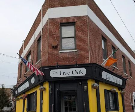 The Live Oak