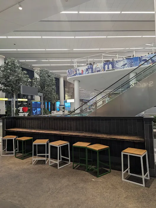 Shake Shack Picture 5