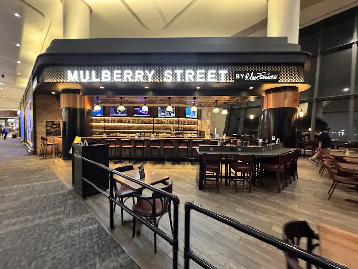 Mulberry Street Picture 10