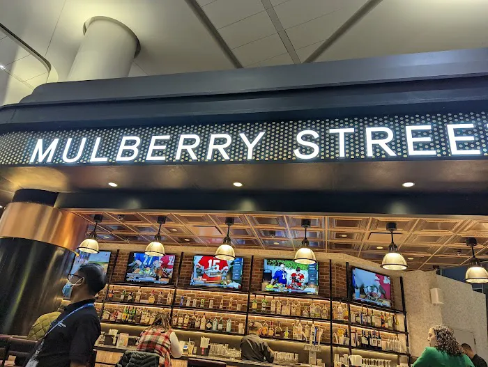 Mulberry Street Picture 2
