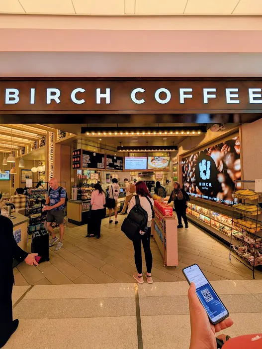 Birch Coffee Picture 2