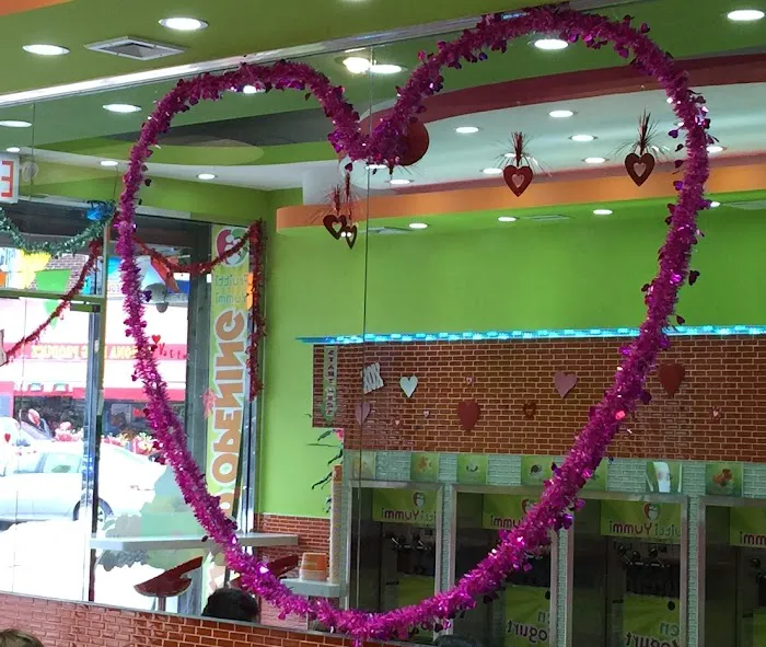 Fruitti Yummi Frozen Yogurt Picture 6