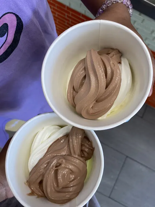 Fruitti Yummi Frozen Yogurt Picture 9