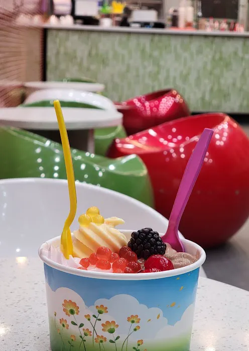 Fruitti Yummi Frozen Yogurt Picture 8